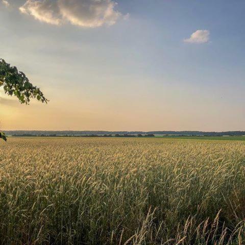 Pension Am Mellensee Saalow Zewnętrze zdjęcie